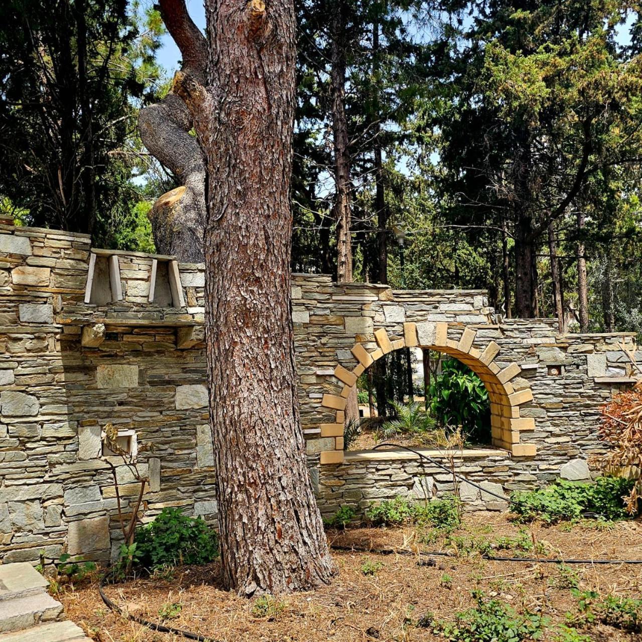 Diocharous Garden Apartment Athens Luaran gambar